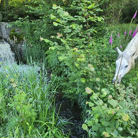 En Bois Sur L'etang Lyxtält Landisacq