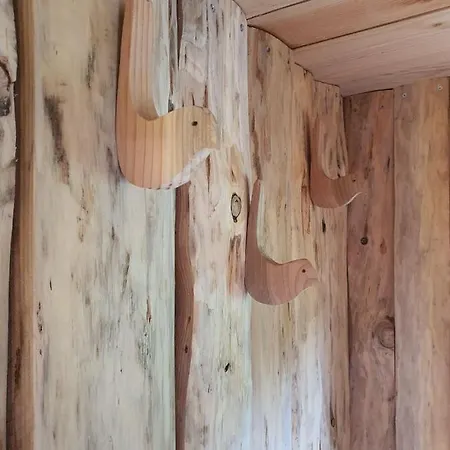 Lyxtält En Bois Sur L'etang Landisacq